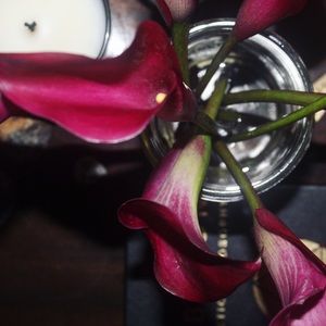 Meet your Posher, Alicia